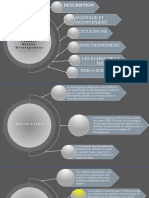 Avantage Et Inconvenient Cycle de Vie Fonctionnement Les Etapes de La FDD