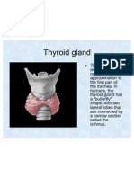 Thyroid Gland