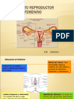 Aparato Reproductor Fem 1