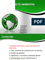 Impacto Ambiental v2