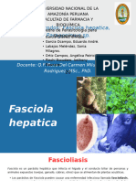 G6 Tremátodos. Fasciola Hepatica, Paragonimus Sp. Parasitología