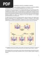 Clase 9 - Teorico Bomba Na K