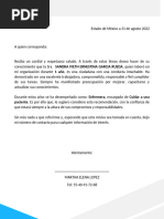 Carta Laboral