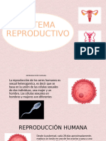 Aparato Reproductor y Fecundación