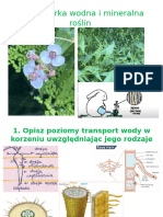 Gospodarka Wodna I Mineralna Roślin