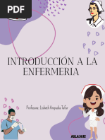 Introduccion A La Enfermeria.