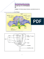 Sexual Reproduction in Plants - Lesson Notes