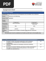 Brief - BMM6582 E Business E Marketing