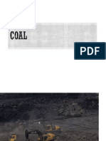 Coal