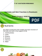 Anatomy and Physiology of Geese Nby