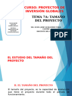 Tema 7a. Tamaño Del Proyecto