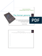 Human Genome