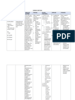 Nursing Care Plan