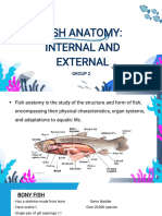 Fish Anatomy