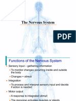 Nervous System Lab