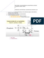 Acidos Nucleicos