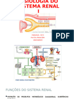 Fisiologia Renal Medicina 2