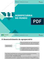 Agropecuária No Mundo: Capítulo 11