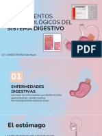 Medicamentos Farmacologicos Del Sistema Digestivo