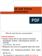 5.2. Blood and Tissue Nematodes Class