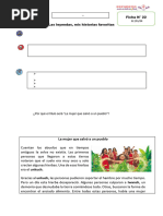 Ficha de Comunicacion