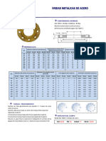 Ficha Tecnica - Bridas Iso 7005 ...