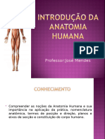 Anatomia Mendes 1 Aula