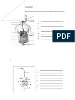 OVERVIEW OF THE SYSTEMS IN THE HUMAN BODY GRADE 9 LEARNER'S GUIDE in ENG 1456770292