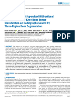 Regenerative Semi-Supervised Bidirectional W-Network-Based Knee Bone Tumor Classification On Radiographs Guided by Three-Region Bone Segmentation