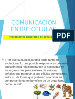 Comunicacion Intercelular