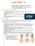 Fisiologia Hemodinamia