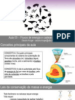 TH022 - Aula 03 - Fluxos de Energia e Cadeias Alimentares