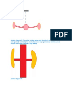 Renal Artery Doppler Ns