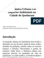 A Dinâmica Hurbana Na Cidade de Quelimane