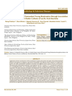 Quality Improvement of Fermented Young Muskmelon Through Inoculation With Different Starter Cultures of Lactic Acid Bacteria