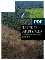 WWF Frentesdeforestacion Resumen Enero2021