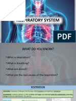 Unit 3 - Respiratory System