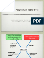 Via Das Pentoses Fosfato