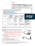 Biologia 2m s9 Retroalimentación