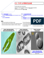 1ère - Partie 1.3. - T.P N°1 - La Théorie Cellulaire