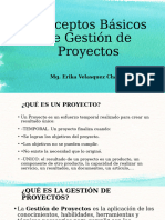 02 Gestion de Proyectos Conceptos Basicos