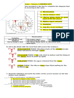 Science 5 Reviewer Answer Key 2nd Prelim