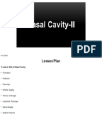 Nasal Cavity-II