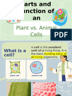 Cell Organelles