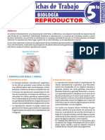 Reproduccion Humana 14