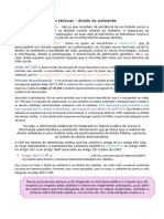 Aulas Teóricas de Ambiente em Word para o Trabalho