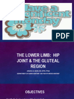 Lower Limb I Hip Joint and Gluteal Region May 2023