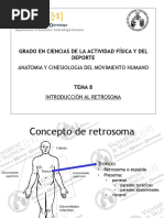 FCAFE ANATOMIA Y CINESIOLOGIA T8 Introdución Al Retrosoma