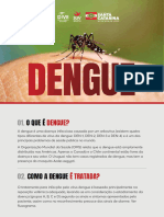 Dengue o Que Fazer