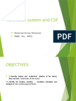 CSF and Ventricular System Updated